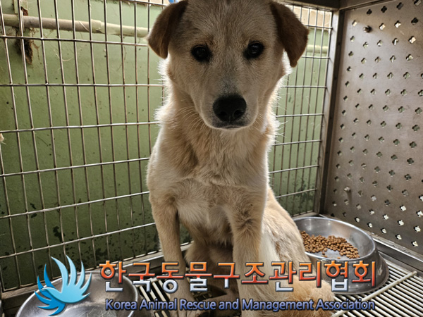 한국동물구조관리협회_441560202401339